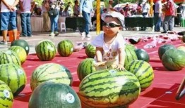 每日大赛 吃瓜入口,吃瓜入口，揭秘娱乐圈幕后风云