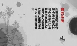 古诗 视频,探寻古诗中的视觉奇观