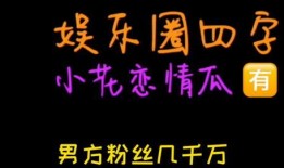 娱乐圈吃瓜词语,揭秘明星幕后风云