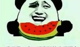 娱乐吃瓜群众一名