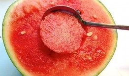 娱乐吃瓜酱做什么会加分,解锁加分技能，轻松成为圈粉达人