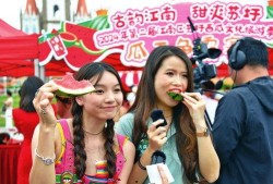 吃瓜者娱乐,揭秘娱乐圈幕后真相