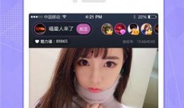 91se破解直播app