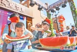 娱乐吃瓜区,揭秘明星幕后故事与精彩瞬间