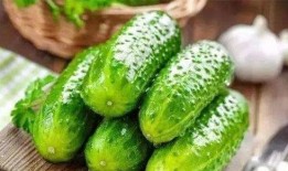 一枝花娱乐吃瓜,揭秘娱乐圈吃瓜背后的真相