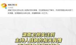 娱乐圈的那个吃瓜文件,真相与谣言的交织