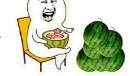 娱乐吃瓜员,吃瓜群众背后的故事