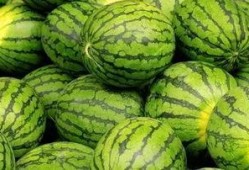 每日大赛 吃瓜入口,吃瓜入口，揭秘娱乐圈幕后风云