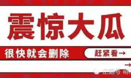 娱乐圈吃瓜文件大全,吃瓜文件大全深度解读