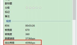 视频码率,揭秘高质量视频背后的技术奥秘