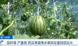 张凌赫最新吃瓜爆料,揭秘娱乐圈不为人知的幕后真相