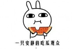 网络吃瓜事件,揭秘网络舆论的狂欢与反思