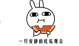 网络吃瓜事件,揭秘网络舆论的狂欢与反思