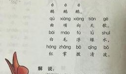 古诗 视频,探寻古诗中的视觉奇观