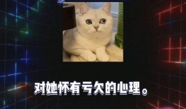 吃瓜娱乐圈录播,吃瓜录播背后的精彩瞬间