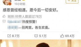 娱乐圈吃瓜小说,幕后风云，瓜田乱舞