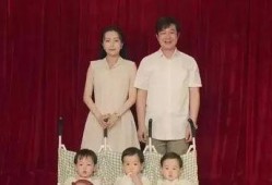 娱乐圈吃瓜爆料315,揭秘明星背后的真相与争议