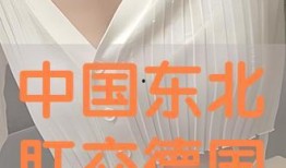 肛交视频