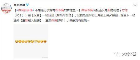 微信吃瓜表情包是哪个软件,微信吃瓜表情包背后的制作软件 第2张 微信吃瓜表情包是哪个软件,微信吃瓜表情包背后的制作软件 第2张