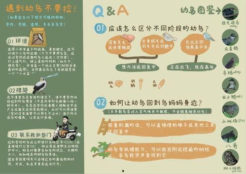 吃瓜网每日大赛往期内容,回顾往期精彩瞬间，揭秘热门选手幕后故事  第3张