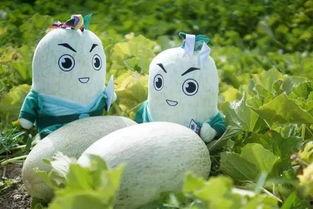 娱乐吃瓜小兔兔微博 第2张 娱乐吃瓜小兔兔微博 第2张